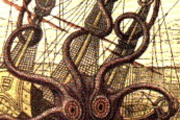 Kraken 12 att