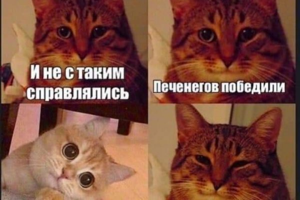 Ссылка на кракен шоп