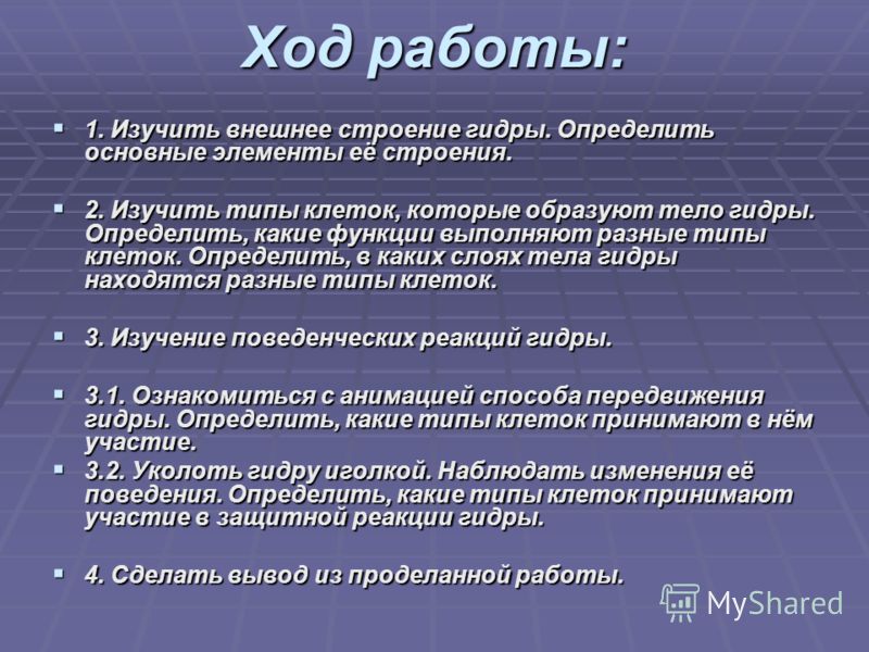 Ссылка на кракен тор kraken2 4aa337