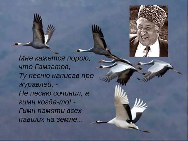 Кракен 12 сайт